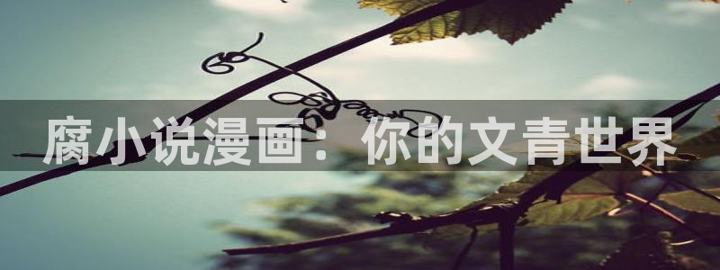 羞羞漫画0
