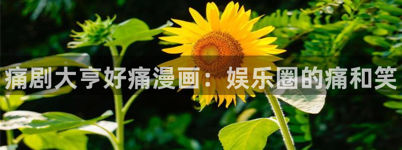 羞羞漫画韩漫免费在线阅读：痛剧大亨好痛漫画：娱乐圈的痛和笑