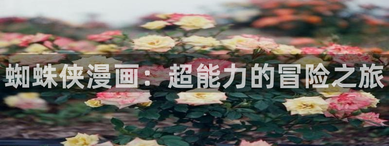 羞羞漫画网页免费版：蜘蛛侠漫画：超能力的冒险之旅