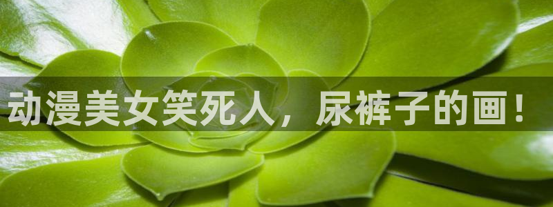 羞羞漫画sss入口