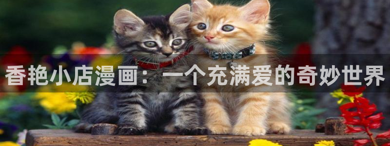 羞羞漫画首页入口