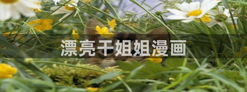 羞羞漫画在线看免费看