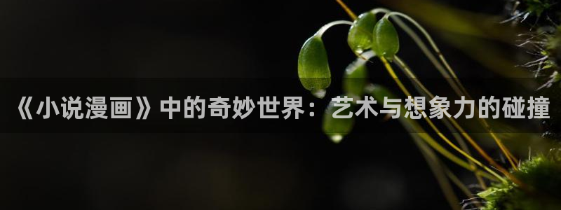 羞羞漫画免费窗口：《小说漫画》中的奇妙世界：艺术与想象力的碰撞