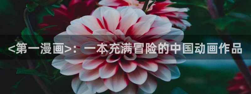 免费看羞羞漫画的网站：<第一漫画>：一本充满冒险的中国动画作品