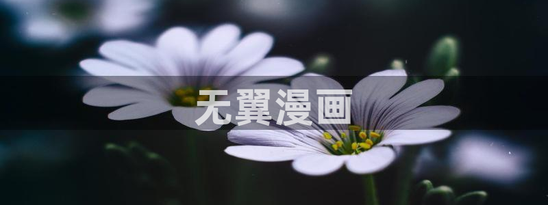 羞羞漫画在线免费观看入口：无翼漫画