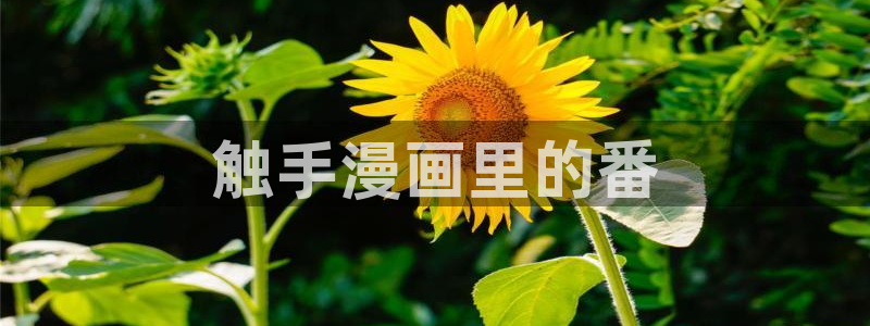 羞羞漫画涩涩